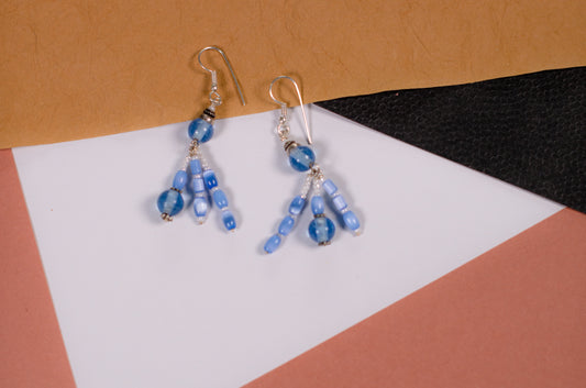 Blue & White Earrings